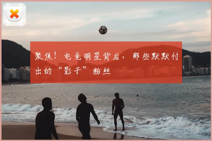 聚焦!电竞明星背后,那些默默付出的“影子”粉丝