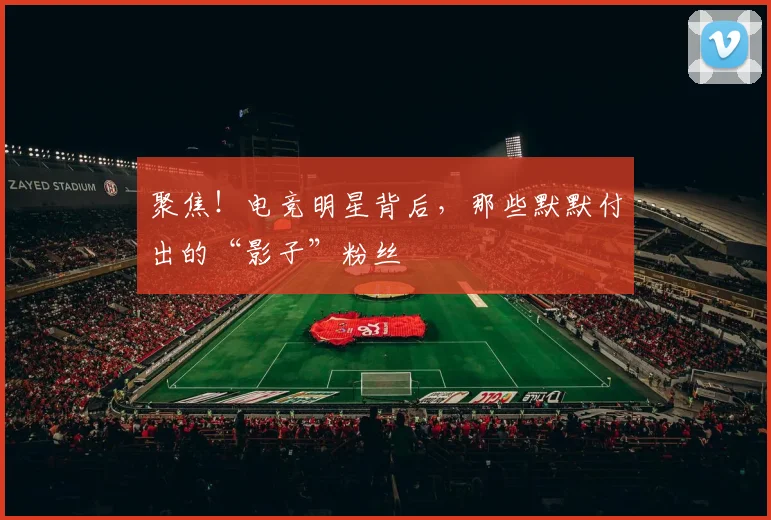 聚焦!电竞明星背后,那些默默付出的“影子”粉丝